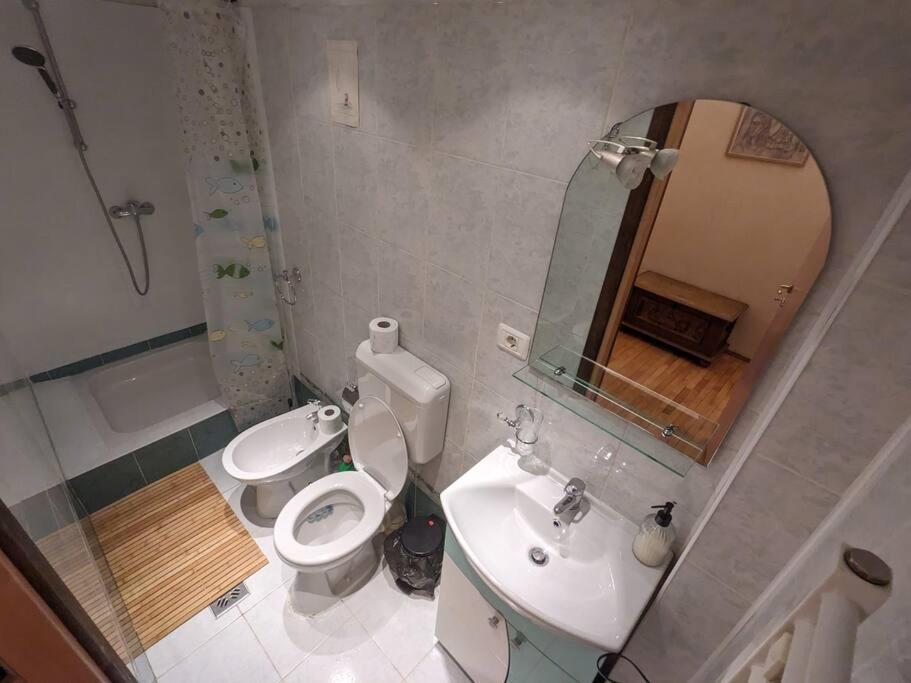 Boheme Central Apartment Timişoara Extérieur photo